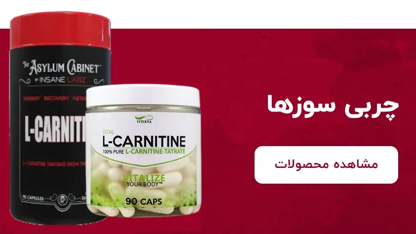 چربی سوز ها